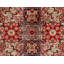 Aryana Wool Oriental Area Rug