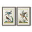 Cadre Pastel Birds III de qualité supérieure mat - prêt à être accroché-175947758-175947744