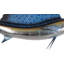Sailfish à fixation murale Bonnie