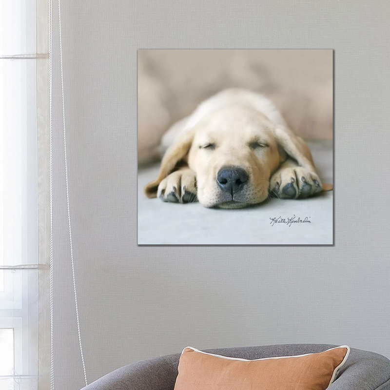 Dreaming Of Kibble by Keith Kimberlin - Wrapped Canvas Print, 66.04 cm H x 66.04 cm W x 3.175 cm D