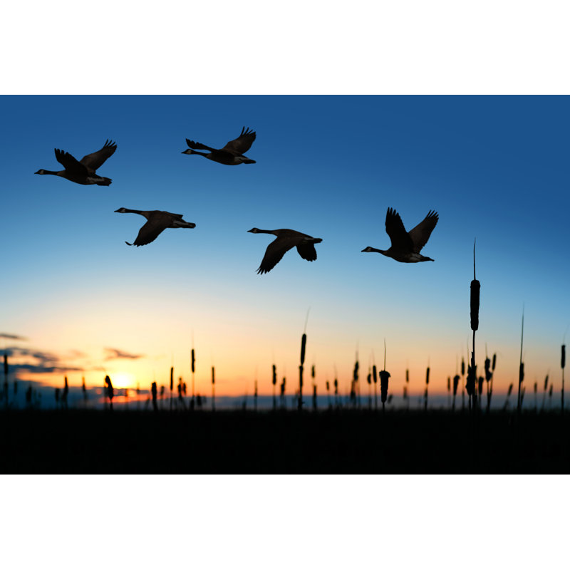Migrating Canada Geese - Wrapped Canvas Print, 20cm H x 30cm W x 3.8cm D