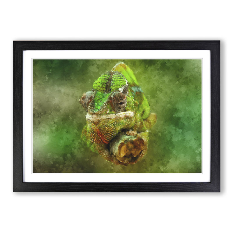 Chameleon Lizard Vol.5 - Framed Print, 36cm H x 48cm W x 2cm D, Black Framed