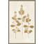 " Botanical Study IV Gold Crop "-864422672-864422673