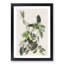 Palm Warbler by John Audubon - Framed Print-55578214-55578217