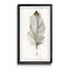 " Neutral Feather II "-1850644192-1850644197