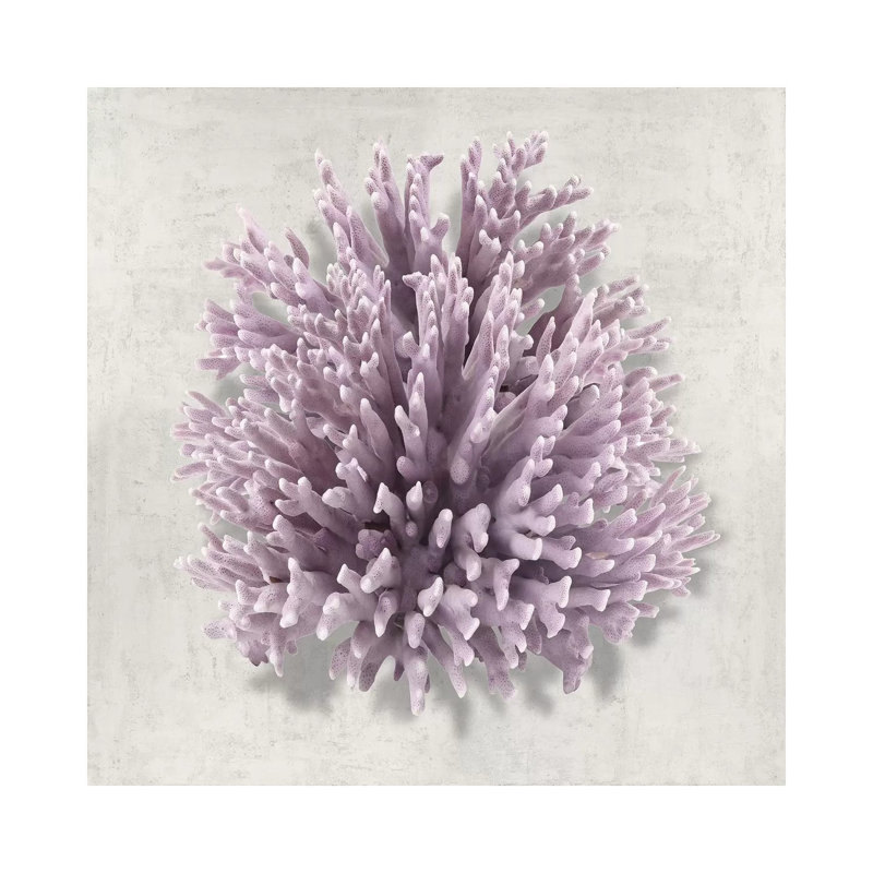 Coral Amethyst I by Caroline Kelly - Wrapped Canvas Print, 30.48 cm H x 30.48 cm W