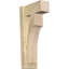 Sapin Douglas-113998552-109329543