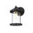 Roy Outdoor Wall Sconce in Black-1354903019