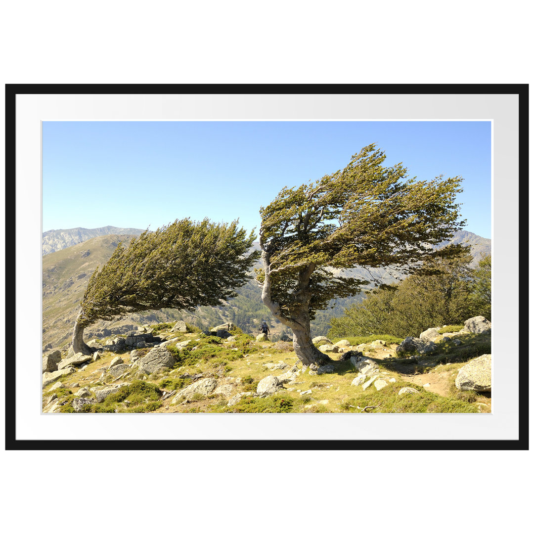 Gerahmtes Poster Schiefer Baum