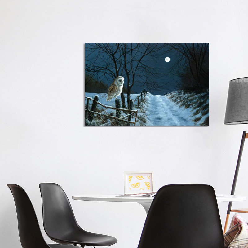 Hunter's Moon - Barn Owl by Jeremy Paul - Wrapped Canvas Print, 66.04cm H x 101.6cm W x 1.905cm D