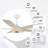 Gatha Ceiling Fan with LED Lights-1614543143-1614543141-1614543136