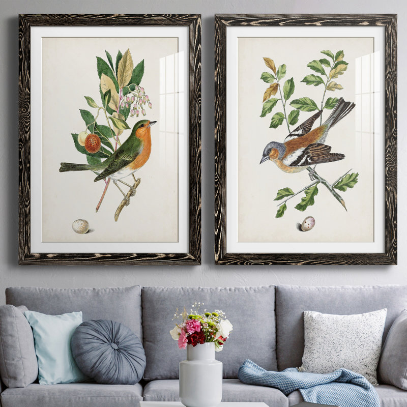 Oiseau antique, botanique et œuf I - ensemble de 2 reproductions d'art sur papier encadré, H 43,5 po x l 31,5 po x P 1 po