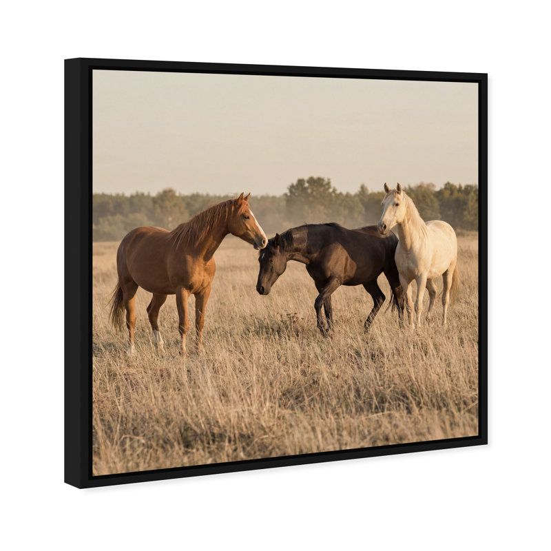 Peaceful Freedom Print by Oliver Gal, 13" H x 13" W, Black Floater Frame