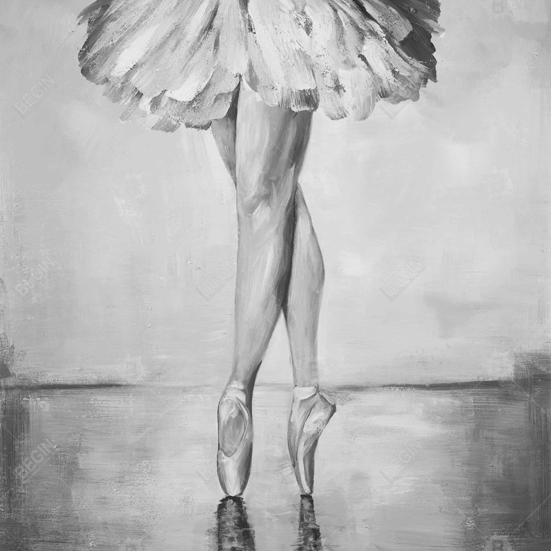 Ballet classic steps - 18"x18" Throw pillow - Poly twill - Print on demand