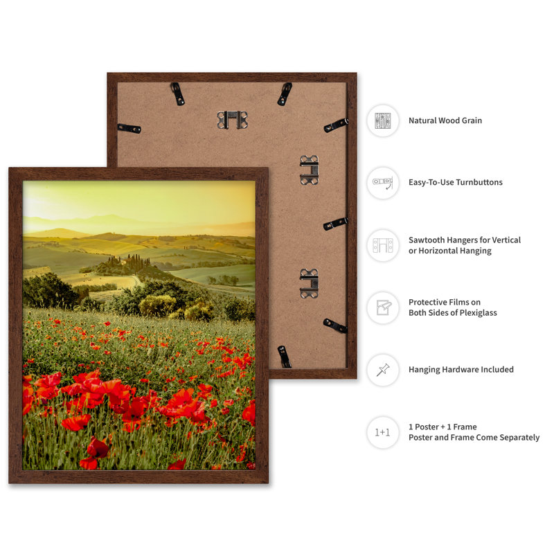 Fleur de coquelicot, Poster, Brown Framed, 11"H x 14"W