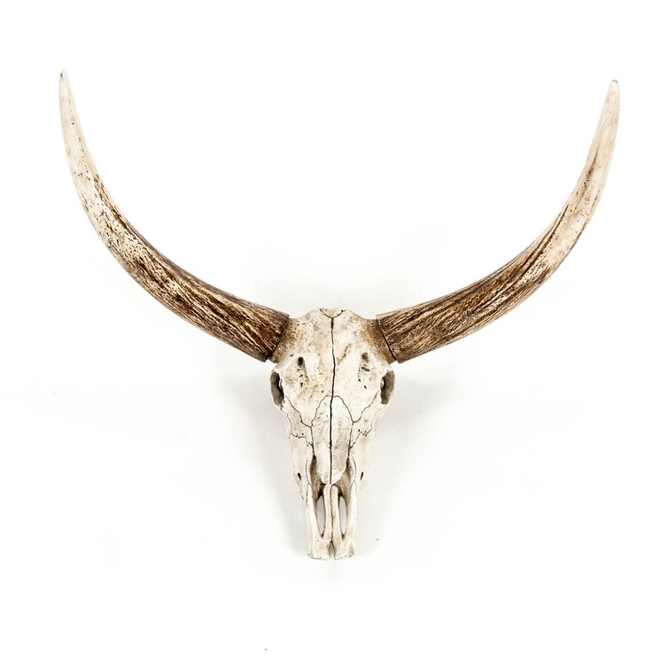 Bull Skull Wall Décor