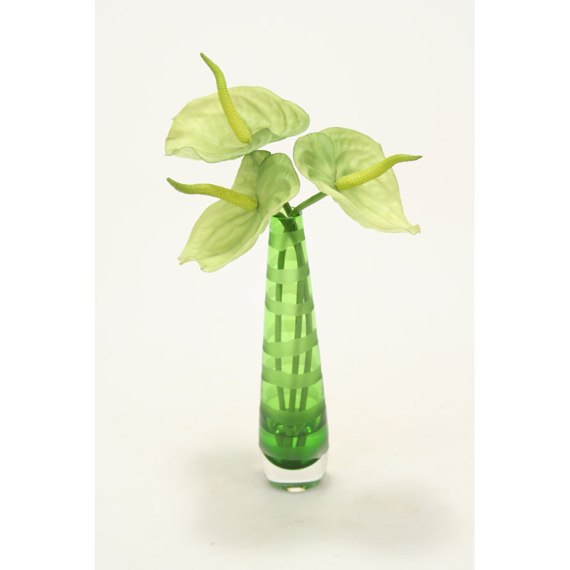 Anthuriums vert dans un vase rayé