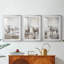 ANIMALS Series CCLxxxvii - Impression personnalisée de qualité supérieure avec passe-partout - 3 pièces-761191992-761191991