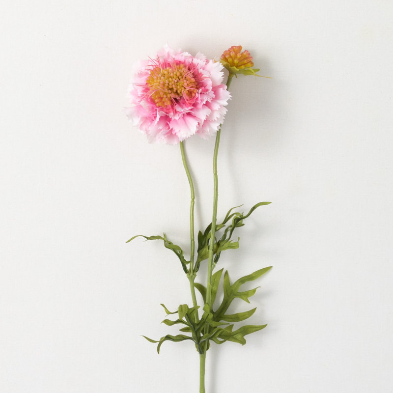 Vibrant Bloom Scabiosa Sprays, Pink