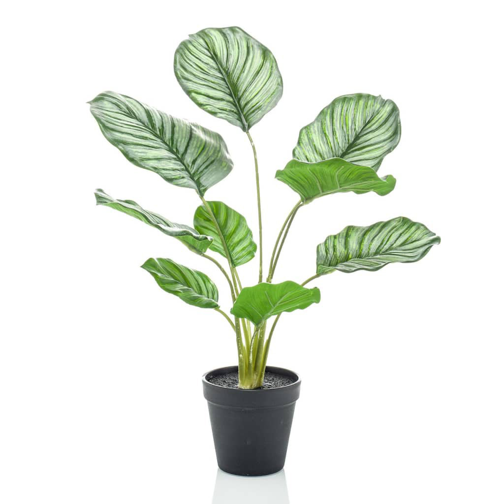 Boden-Kunstpflanze Calathea Orbifolia im Topf