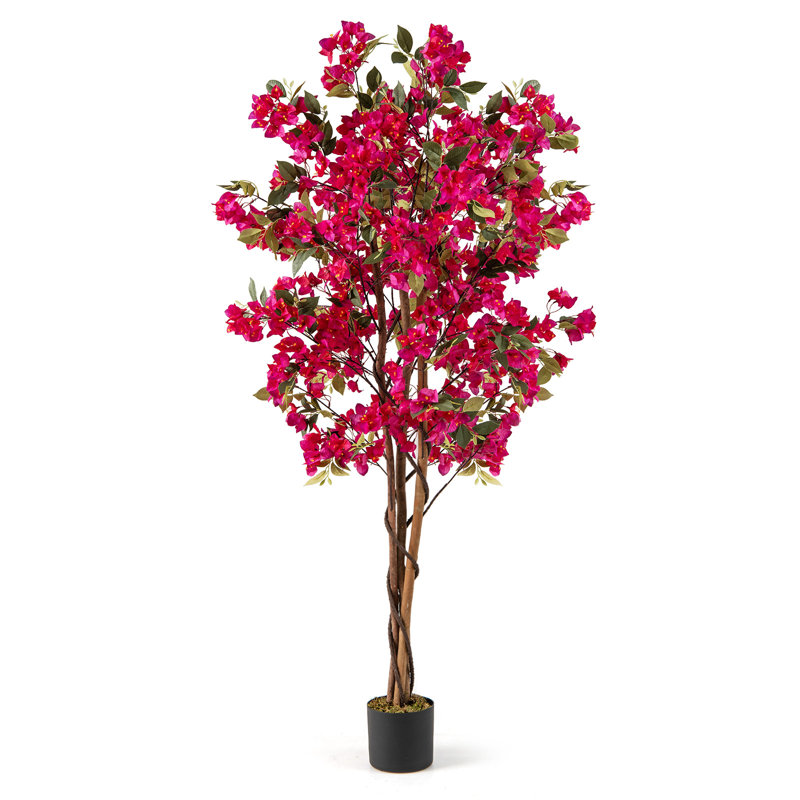 Bougainvillée artificiel 6 pi avec 610 fleurs, 1