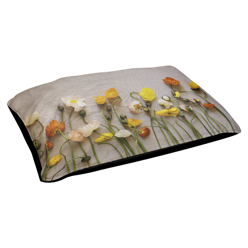 Coussin de concepteur de fleurs séchées Burien, L 19,5 po x l 29,5 po, Noir