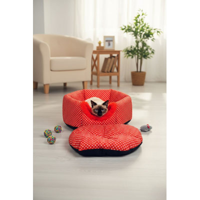 Lit pour chat
