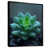 Black Floater Framed Canvas