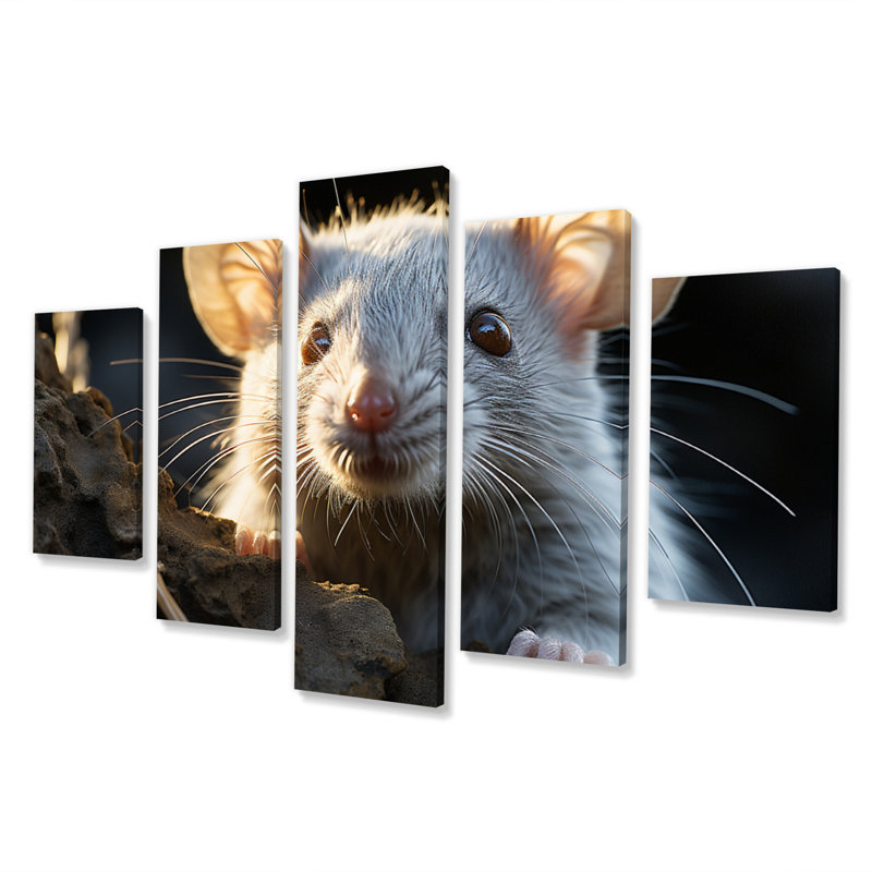 Mignon rongeur - reproduction d'art mural animaux - 5 panneaux