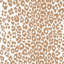 Iconic Leopard Wallpaper-69259196