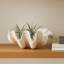 Bol décoratif Bequette-127047624