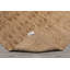 Tapis beige unique de 8 pi x 8 pi 5 po