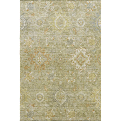 Premium Machine Washable Mayfield AMF1927 Global Rug