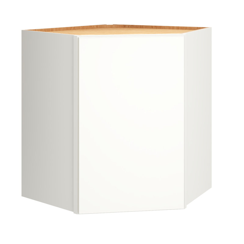 Armoire murale d'angle à 1 porte avec 2 tablettes réglables Dwelling Rosemont l 24 po x H 30 po x P 12 po, Blanc