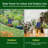 Solar Drip Irrigation