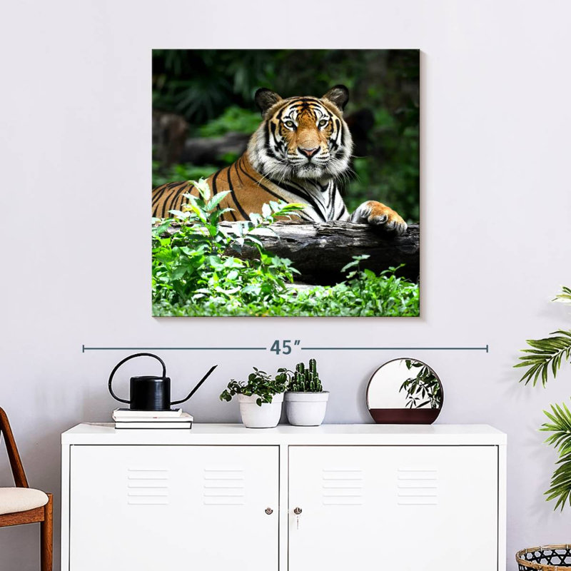 Brampt Resting Bengal Tiger, 30" H x 30" W