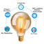 2-Pack 6W LED Light Bulbs