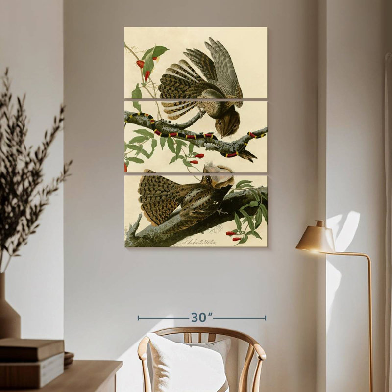 Brampt Chuck-Will's Widow, 65" H x 42" W