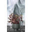 Pot à fleurs en plastique recyclé-129012109-129012112