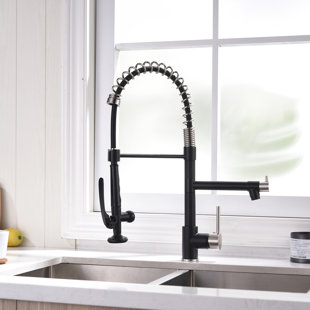 FLG Pull Down Kitchen Faucet