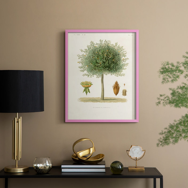 Arbre antique avec fruit X, reproduction encadrée - bois massif, H 11 po x l 9 po, Rose