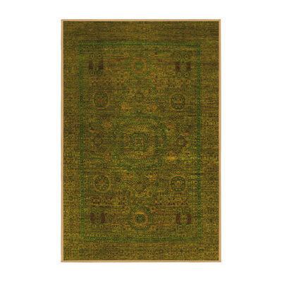 Oriental Indoor Rug