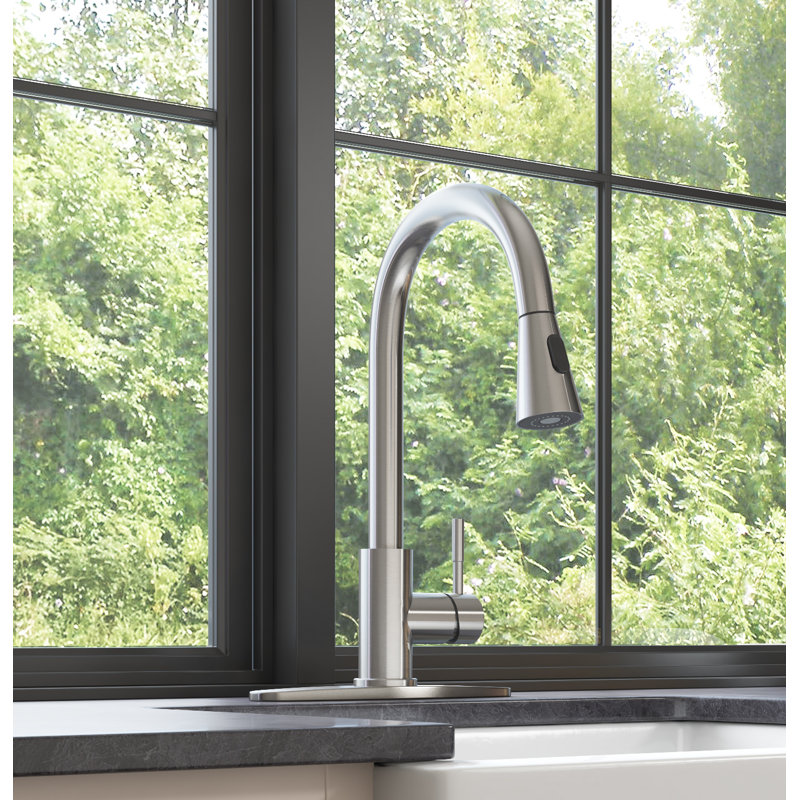 Rovogo Pull Down Kitchen Faucet