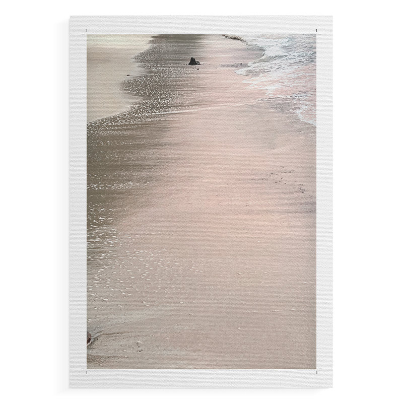 Sable rose tendre - impression sur toile seulement - non encadrée, H 27 po x l 18 po