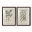 Antique botanique noir et blanc antique - ensemble de 2 reproductions d'art-686387519-686391209-672527106