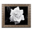 Modern & Contemporary-22947445-25775998-25775999
