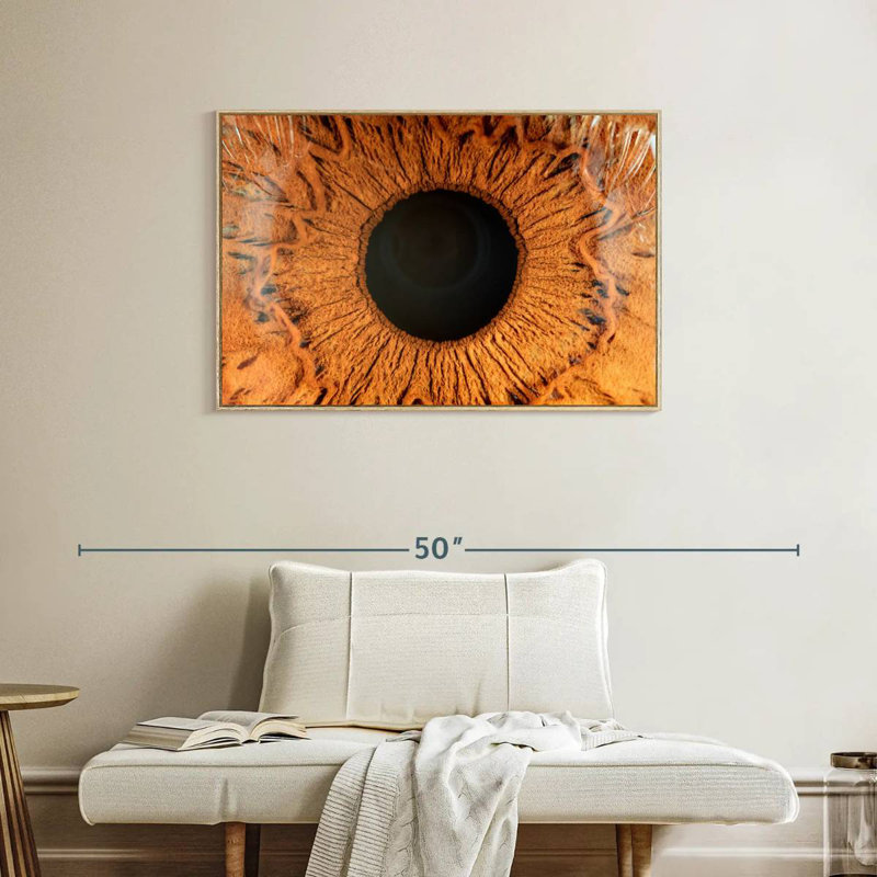 Œil humain magnifié, Cadre flottant en bois naturel, 37 po x 25 po