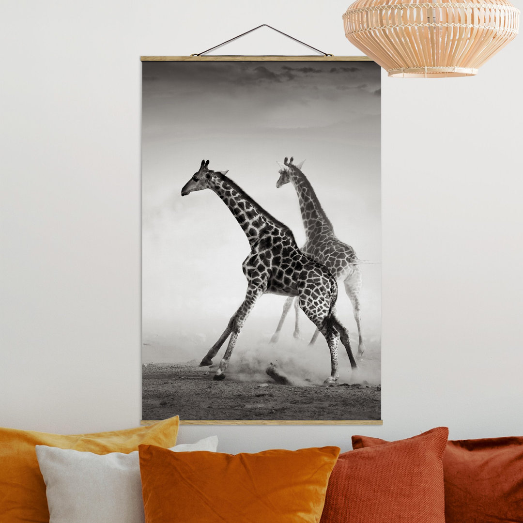 Giraffe Hunting - Photograph Print