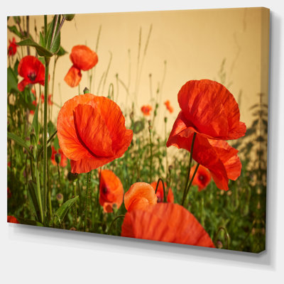 «Colorful Red Poppy Flower Field», reproduction de photo sur toile tendue