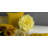 Simulation Rose Flower Throw Pillow Decorative Round Floral Accent Pillow Cover & Insert-1408856968-1408856973